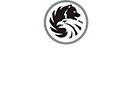 russian-standart-vodka